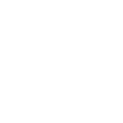 Step 4 Icon
